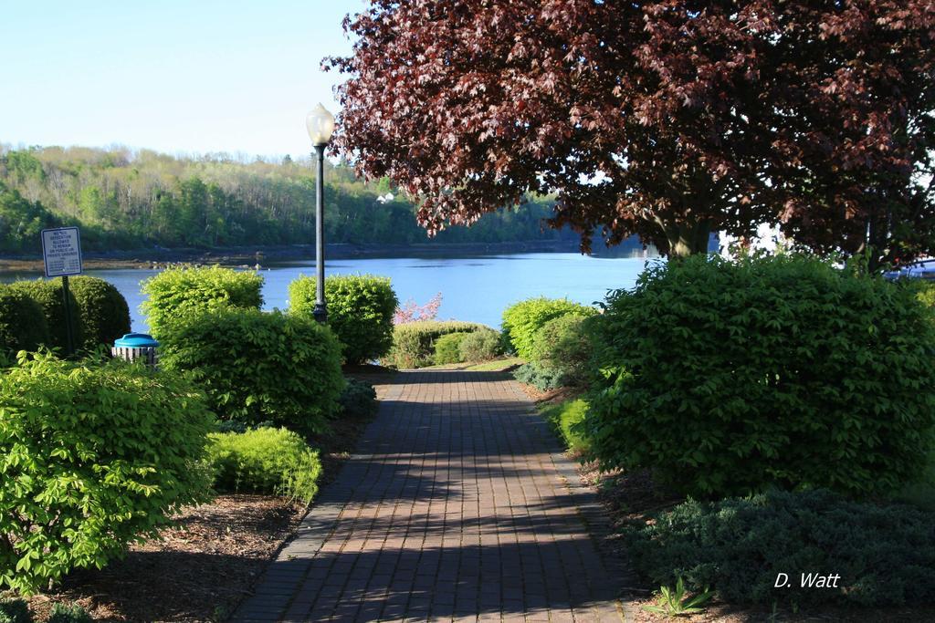 Bucksport Inn Екстериор снимка